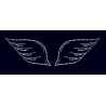 Nažehlovací aplikace CS587 křídla